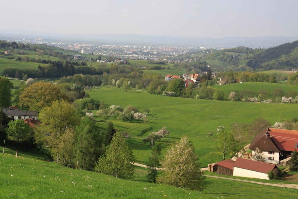 Luxus Appartement Schwarzwald Bei Freiburg 4 Schlafzimmer Sauna Sölden Oda fotoğraf