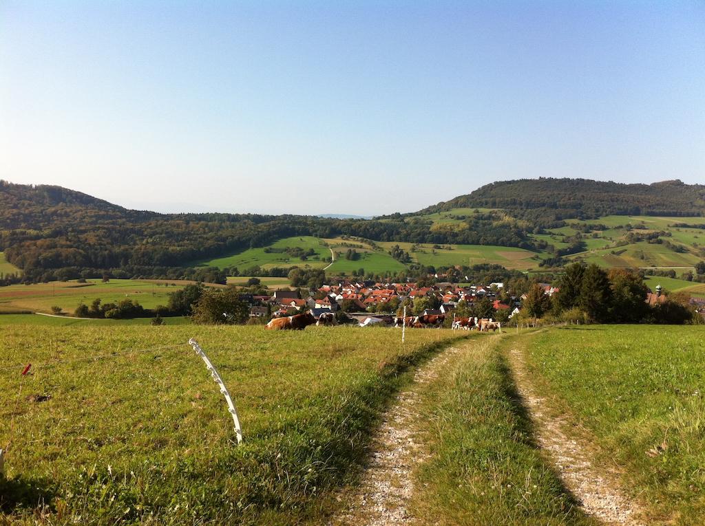 Luxus Appartement Schwarzwald Bei Freiburg 4 Schlafzimmer Sauna Sölden Oda fotoğraf