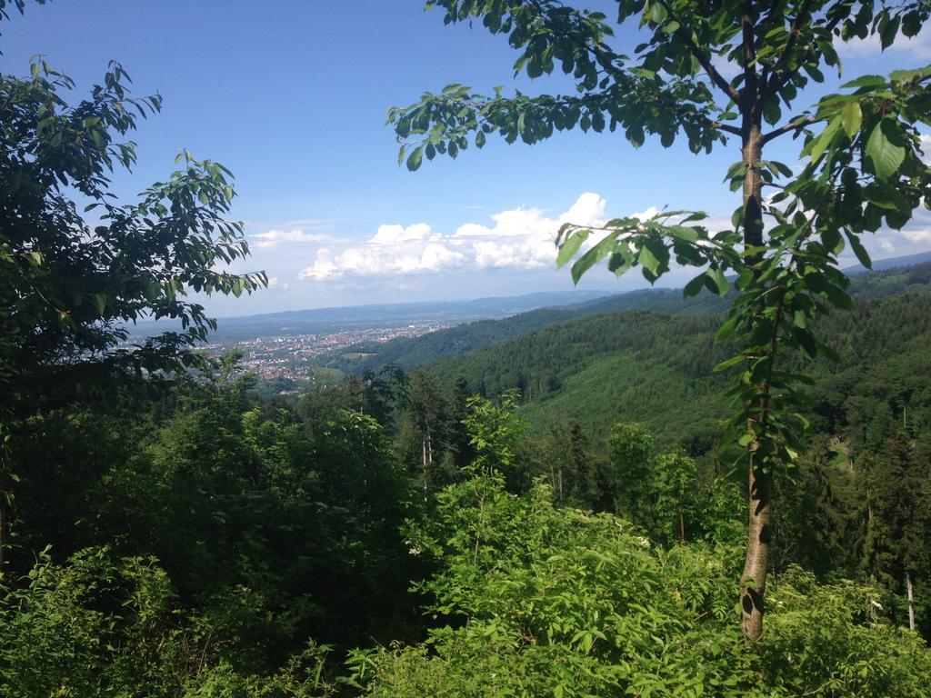 Luxus Appartement Schwarzwald Bei Freiburg 4 Schlafzimmer Sauna Sölden Dış mekan fotoğraf