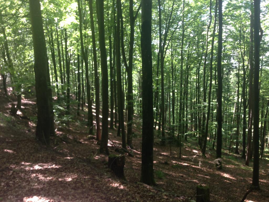Luxus Appartement Schwarzwald Bei Freiburg 4 Schlafzimmer Sauna Sölden Dış mekan fotoğraf